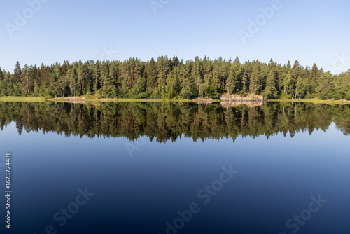 reflection of trees in water of calm lake