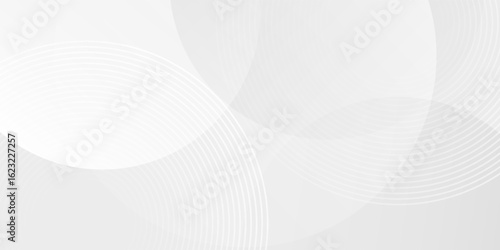 White geometric abstract background overlap layer on bright space with lines effect decoration. Modern graphic design element circles style concept for banner.