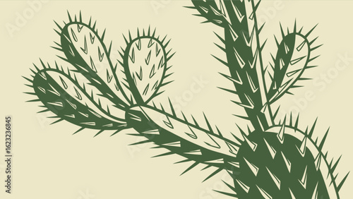 Green cactus isolated on white background, a prickly desert plant with sharp spines, a botanical illustration with vintage style and detailed texture