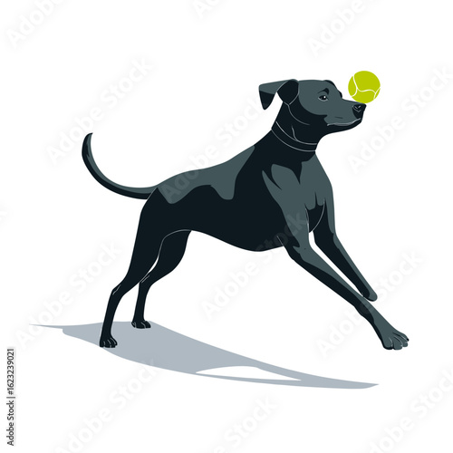 A black dog is happily playing with a tennis ball.