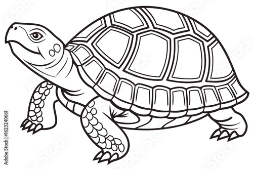 coloring page line art the box turtle black vector