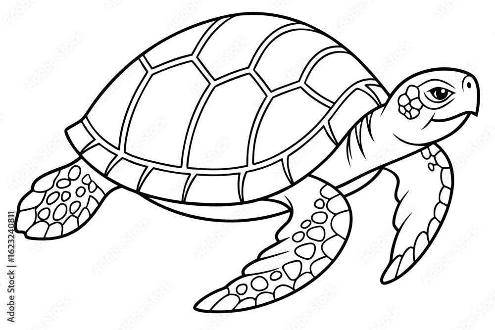 Fototapeta premium coloring page line art the box turtle black vector