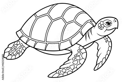 coloring page line art the box turtle black vector