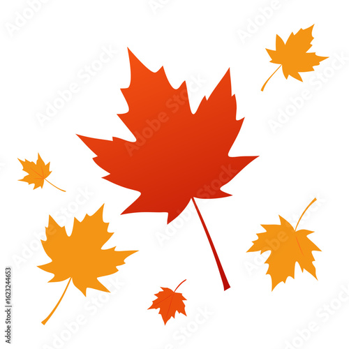 Falling maple leaves in autumn colors