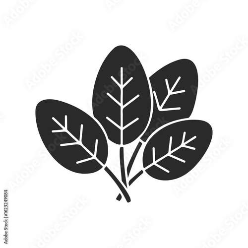 Silhouette of spinach leaves with veins on white background