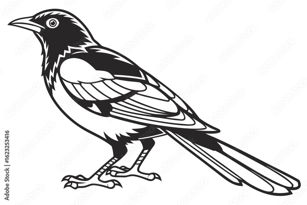 Fototapeta premium coloring page line art the weaverbird black vector