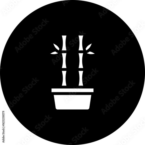Lucky Bamboo Plant Vector Icon Design