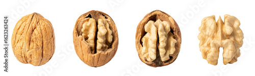 Walnut stages showing whole, cracked, open and shelled on transparent background