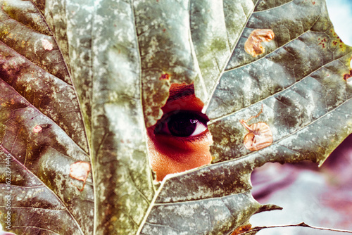 Giant leaf with little eye