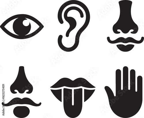 Five, senses, icon, set, human, perception, silhouette, vector, black, isolated, illustration, design, see, hear, smell, taste, touch
