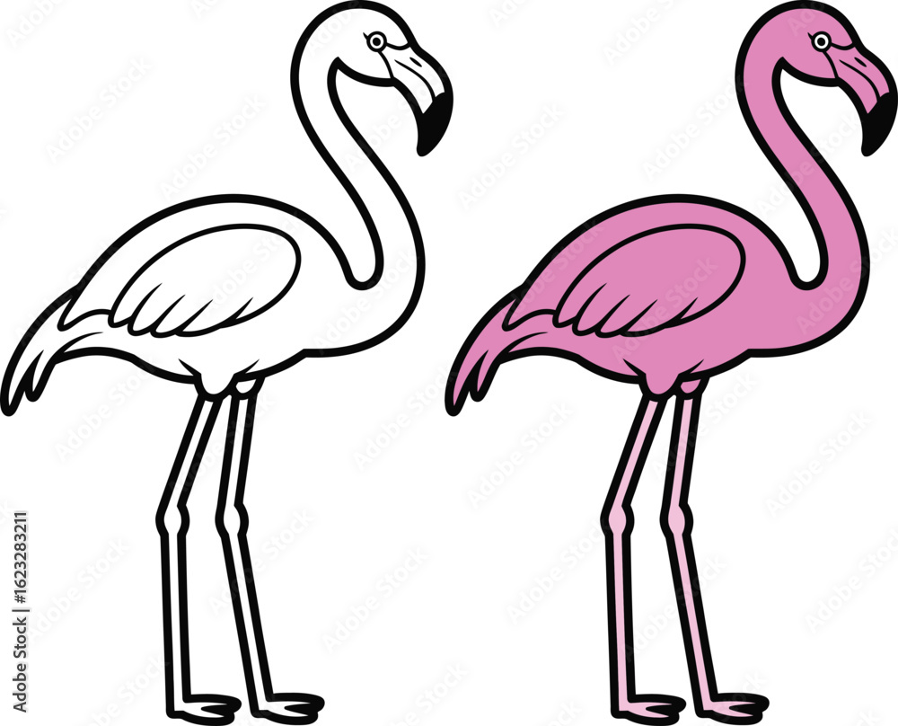 Obraz premium Double flamingo silhouette and color vector illustration