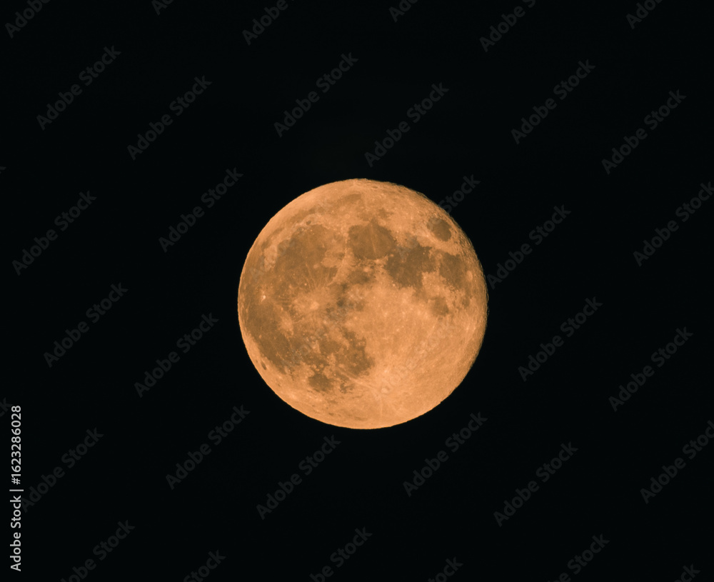 Obraz premium Full Moon close up