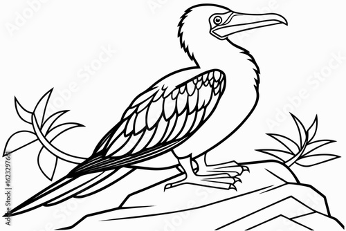coloring page line art the booby black vector