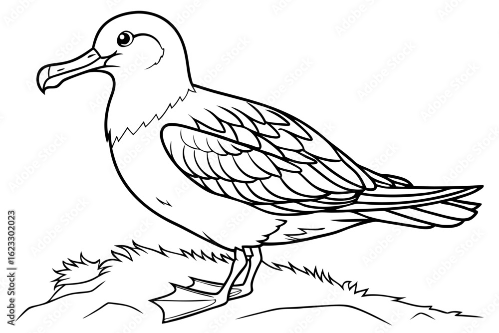 Obraz premium coloring page line art the shear water black vector
