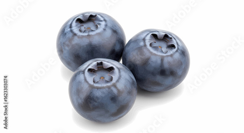 Three fresh blueberries isolated on white, detailed vector illustration concept.