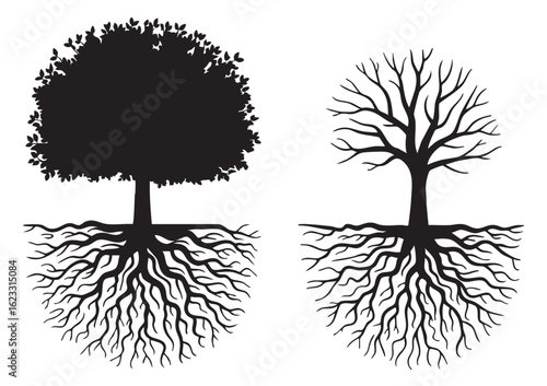Two black and white silhouette trees with visible roots one leafy one bare leafy tree