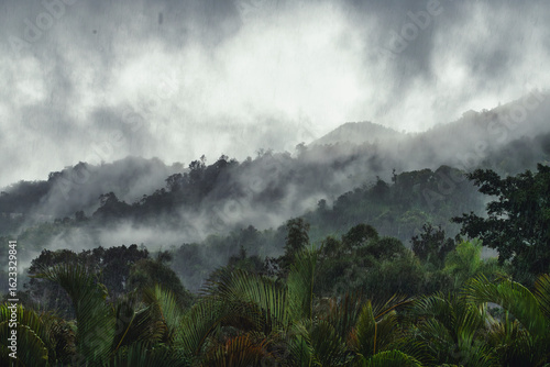 fog and storm clouds in the mountains