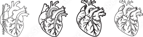 Heart on transparent background 