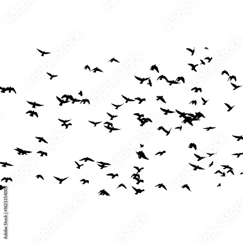 Dynamic silhouette illustration of a large flock of birds in flight. Numerous black birds are scattered across a clean white background.