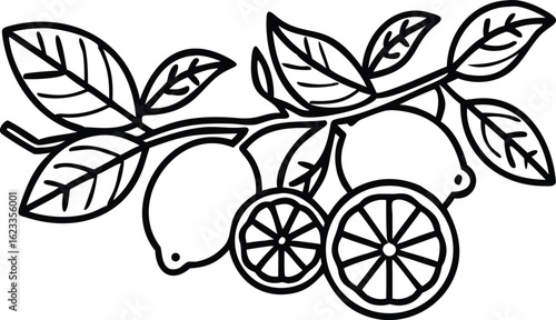 Black and white illustration of lemons on a branch with leaves and slices isolated on transparent background