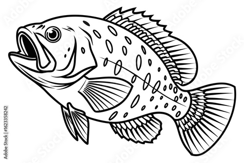 coloring page line art the crappie black vector