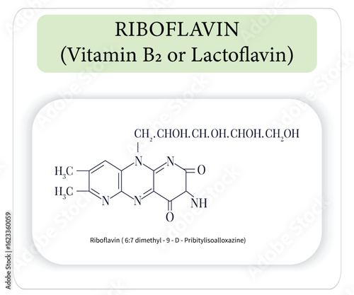 Riboflavin (Vitamin B2 or Lactoflavin) Chemical Structure. Vector illustration of the molecule with its full scientific name and formula for medical and scientific use