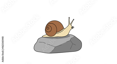 Snail on a rock: A cartoon-style illustration of a snail sitting atop a gray rock with white background promoting peace and tranquility