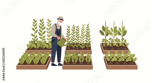 Senior Gardener Watering Raised Beds in a Flourishing Allotment Depicting Organic Cultivation Practices