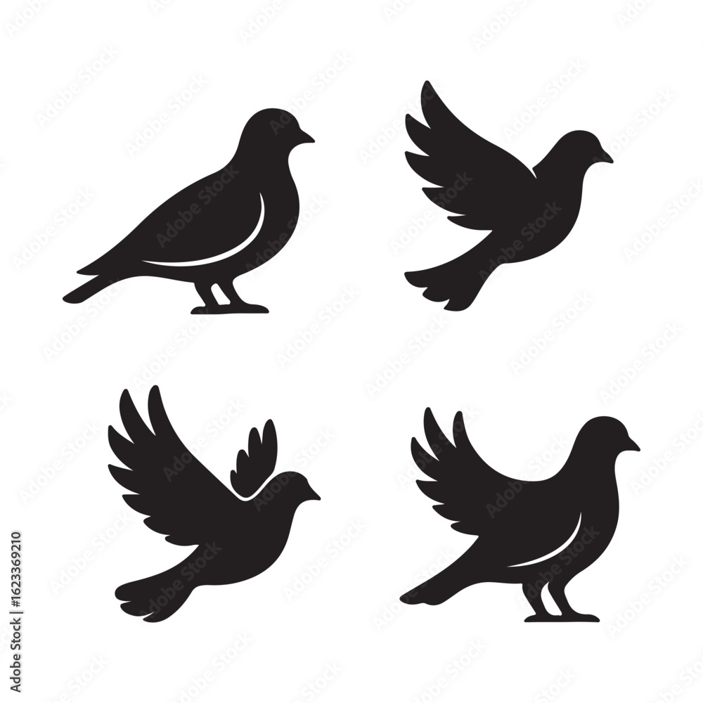 Fototapeta premium set of pigeon silhouettes