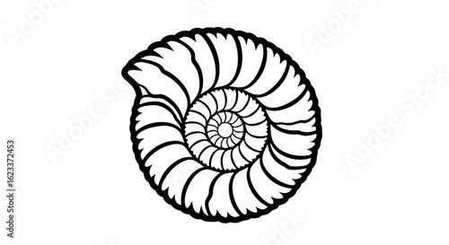 Stylized Nautilus Shell Illustration Depicting Growth and Natural Spiral Formation