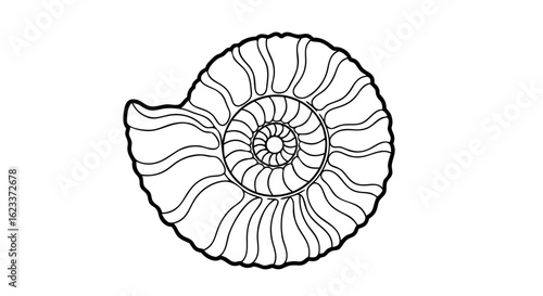 Elegant ammonite fossil illustration showcasing intricate geometric spiral pattern formations and ancient marine life heritage