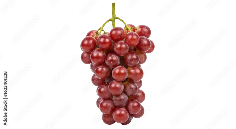 Fototapeta premium Isolated Bunch of Red Grapes
