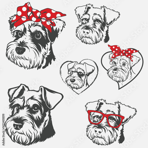 Miniature Schnauzer, Dog Svg Cricut, Mini Schnauzer Vector