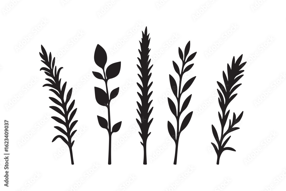 Fototapeta premium Five black silhouette botanical sprigs and branches on white background