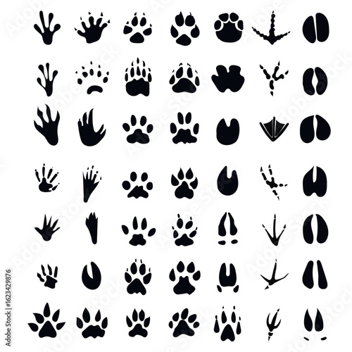 Animal tracks paw print icon set 