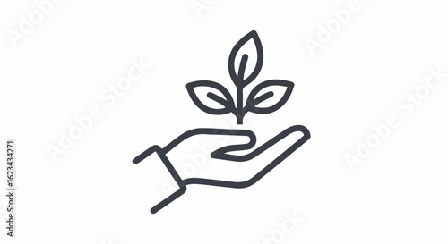 Hand Gently Holding a Small Sprout with Three Leaves