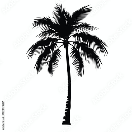 Vector illustration of a tall palm tree silhouette a tropical symbol of summer vacations and exotic island getaways