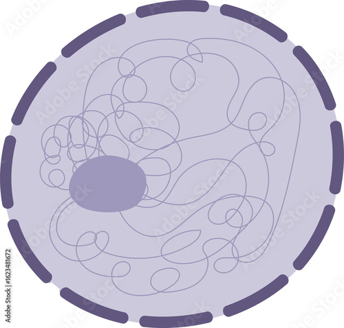 illustration of nucleus