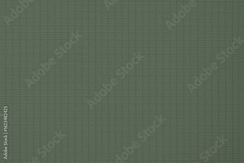 Abstract View of Muted Green Ripstop Fabric with Tight Texture Symmetry and No Depth or Folds
