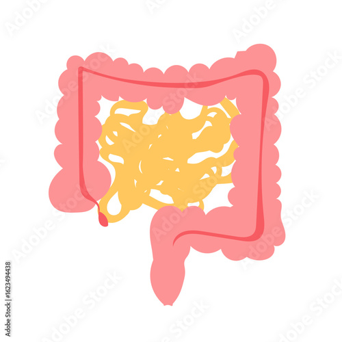 Cartoon intestinal tract ,anatomy,Rectum colon poster large intestine,human body