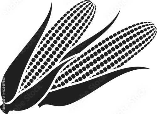 Two Ears of Corn