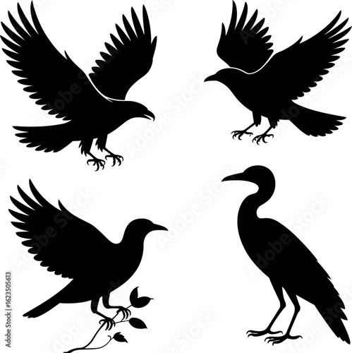 Bird Silhouettes: Flying & Standing Avian Icons Set