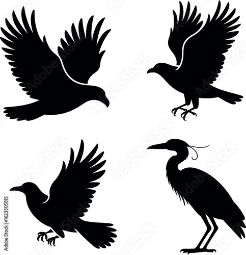 Bird Silhouettes: Flying & Standing Avian Icons Set