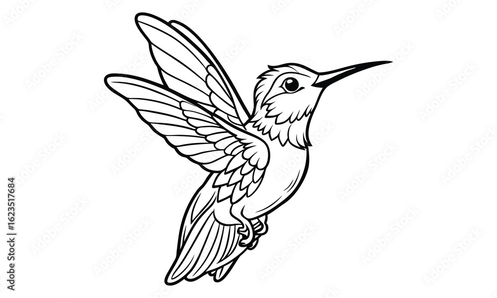 Obraz premium Hummingbird t shirt design silhouette and vector line art Vibrant Hummingbird Graphic for Casual and Eco-Friendly Wear