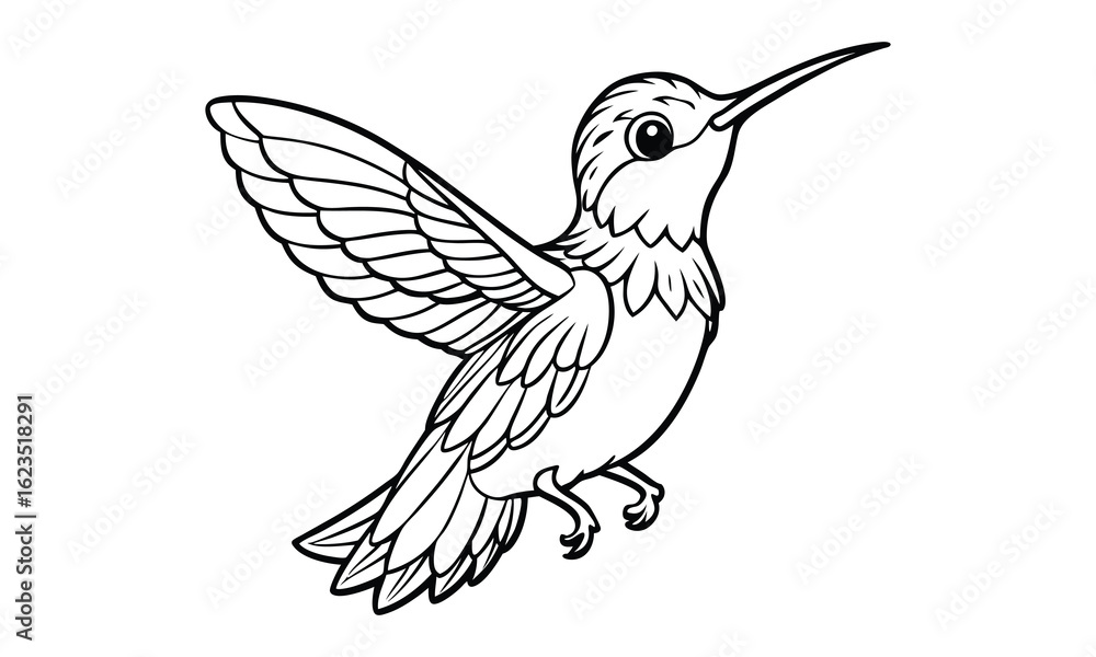 Obraz premium Hummingbird t shirt design silhouette and vector line art Vibrant Hummingbird Graphic for Casual and Eco-Friendly Wear
