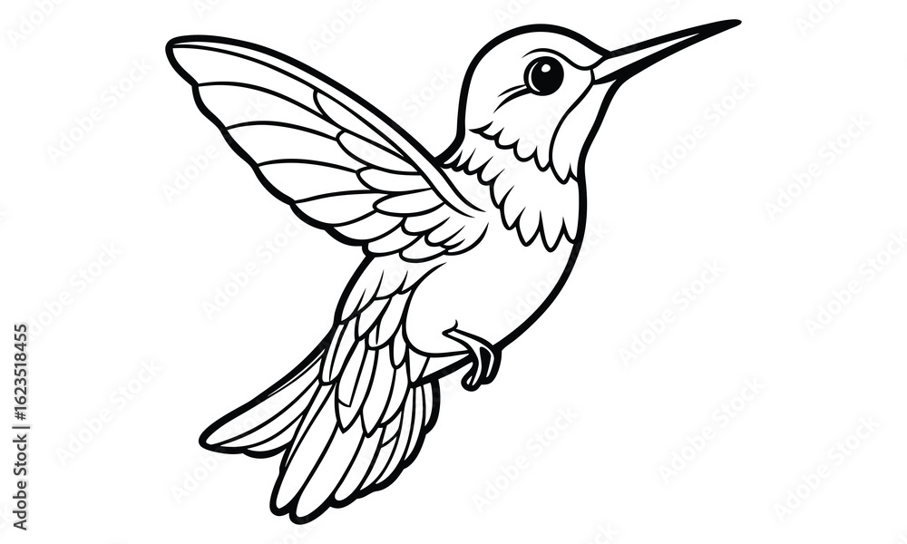 Fototapeta premium Hummingbird t shirt design silhouette and vector line art Vibrant Hummingbird Graphic for Casual and Eco-Friendly Wear