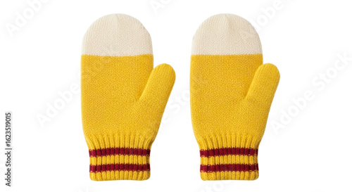 Canvastavla Isolated mittens