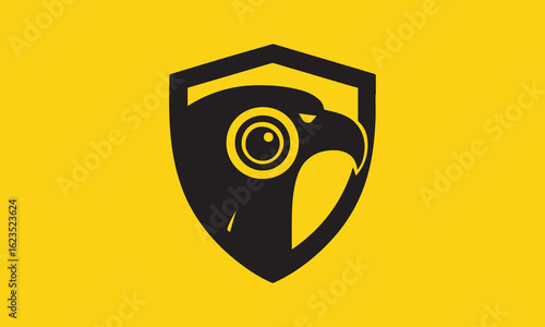 Eagle Shield Logo, CCTV Eagle Eye Logo, Shield Logo, camera logo