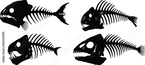 Fish Skeleton Silhouette Vector collection – Detailed Bone Structure of Dead Fish on Transparent Background