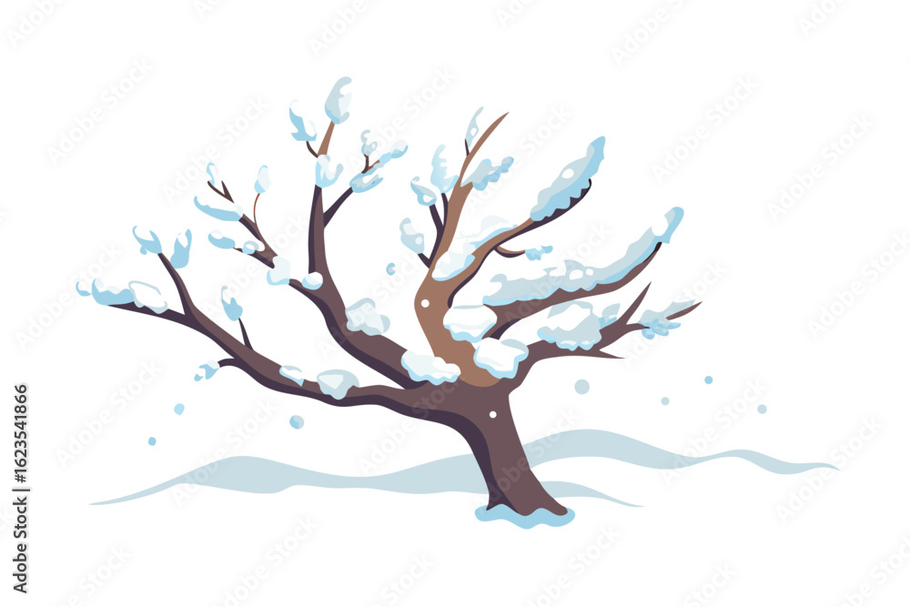 Fototapeta premium Bare winter tree with snow covered branches isolated on transparent background